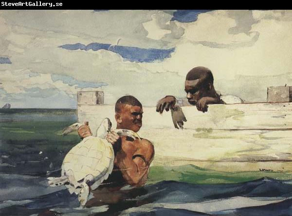 Winslow Homer The Turtle Pound (mk44)